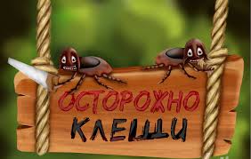 О профилактике противоклещевой инфекции