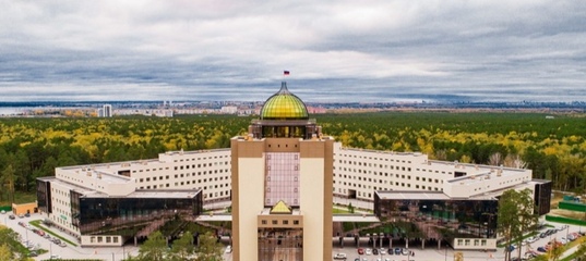 «Прикладная политология»