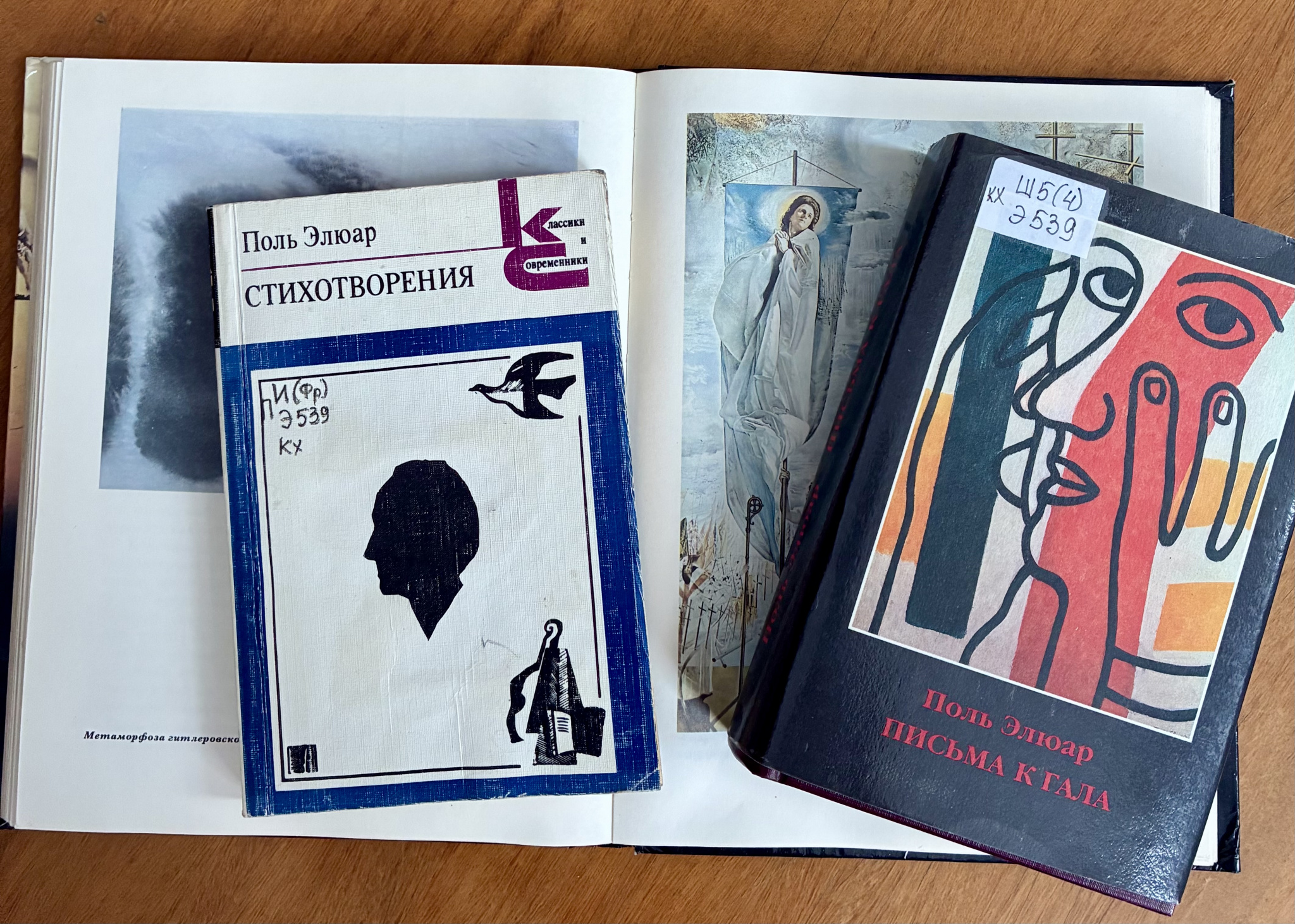 КНИЖНАЯ ПОЛКА. «Ты столько мне снилась…»