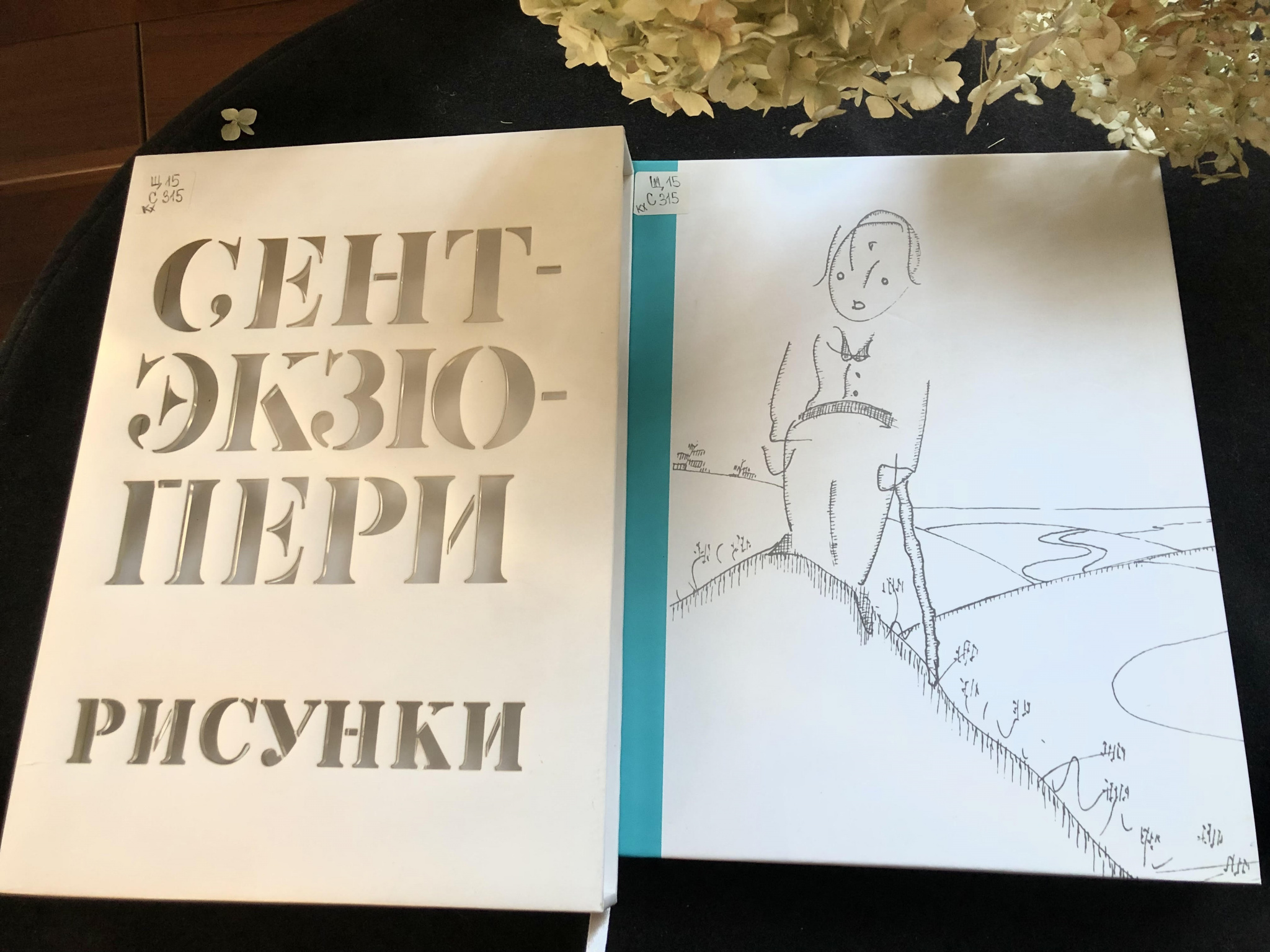 Книжная полка. Антуан, военный лётчик