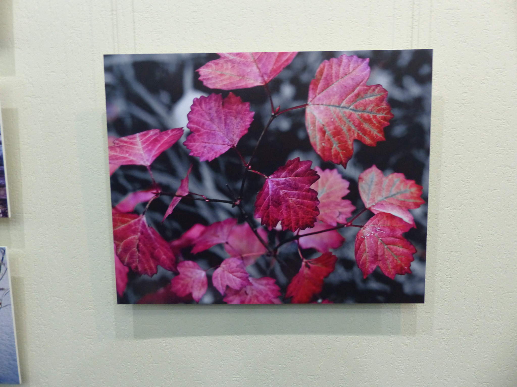 P1130817.JPG