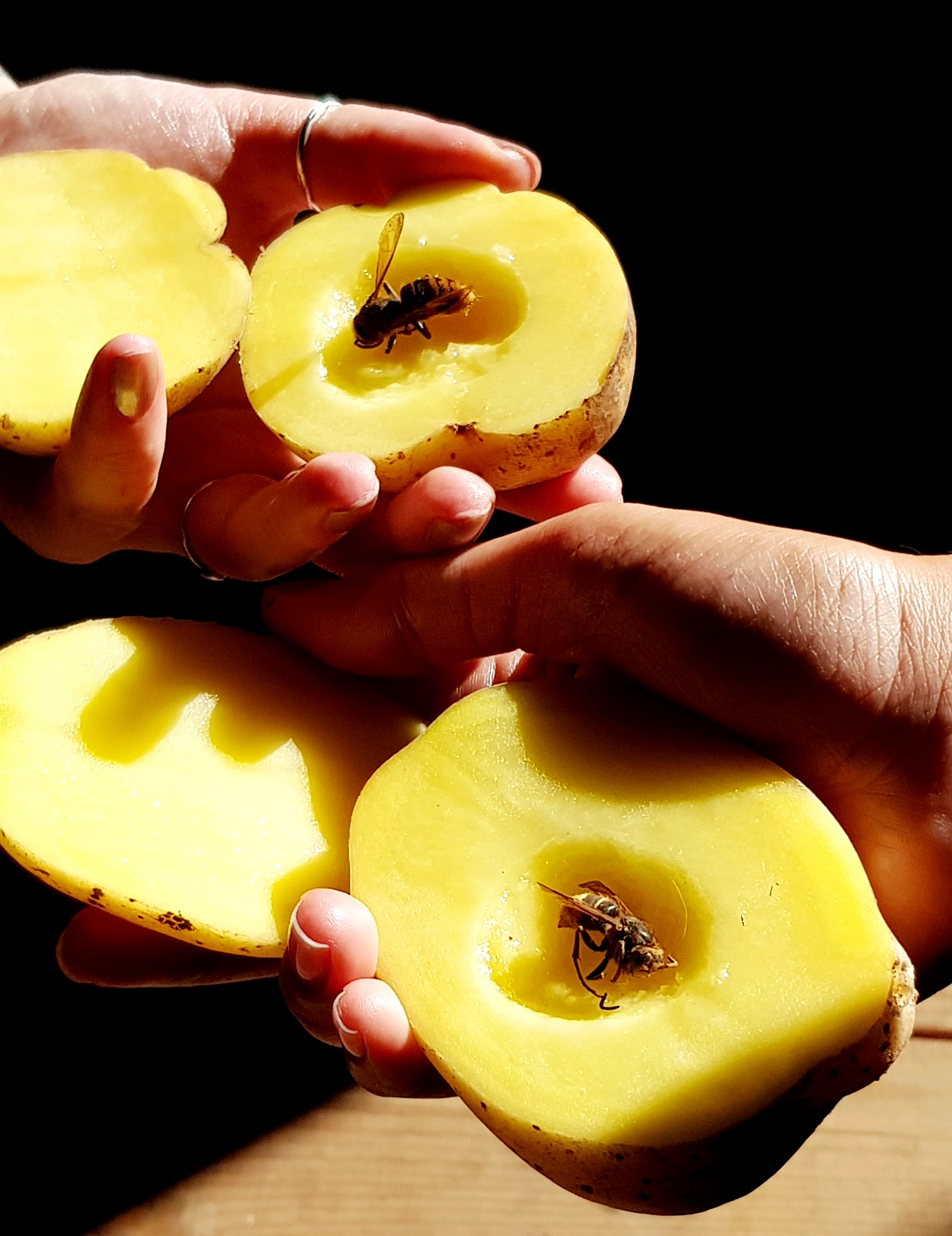 20260912_152013.jpg