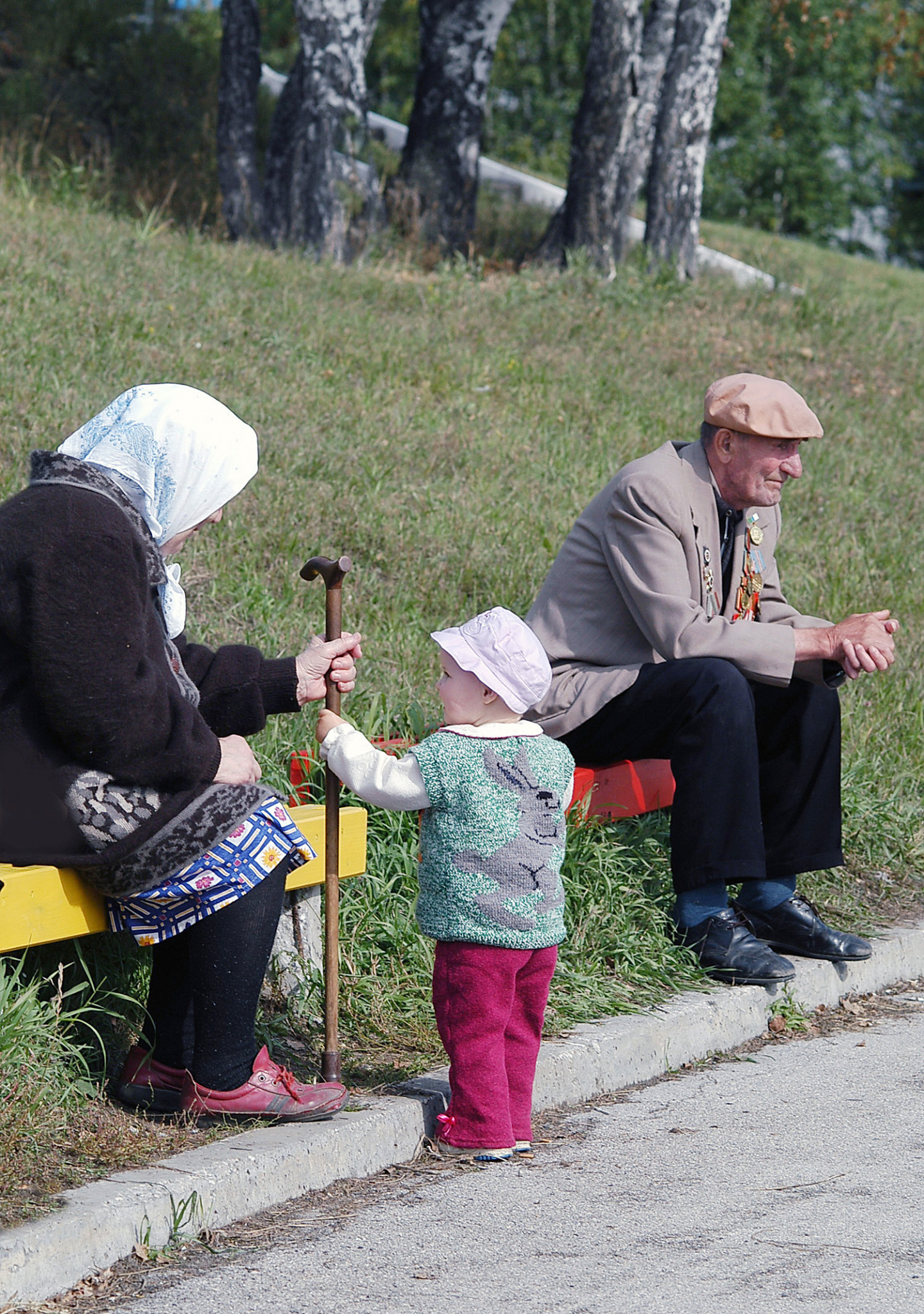 97.jpg