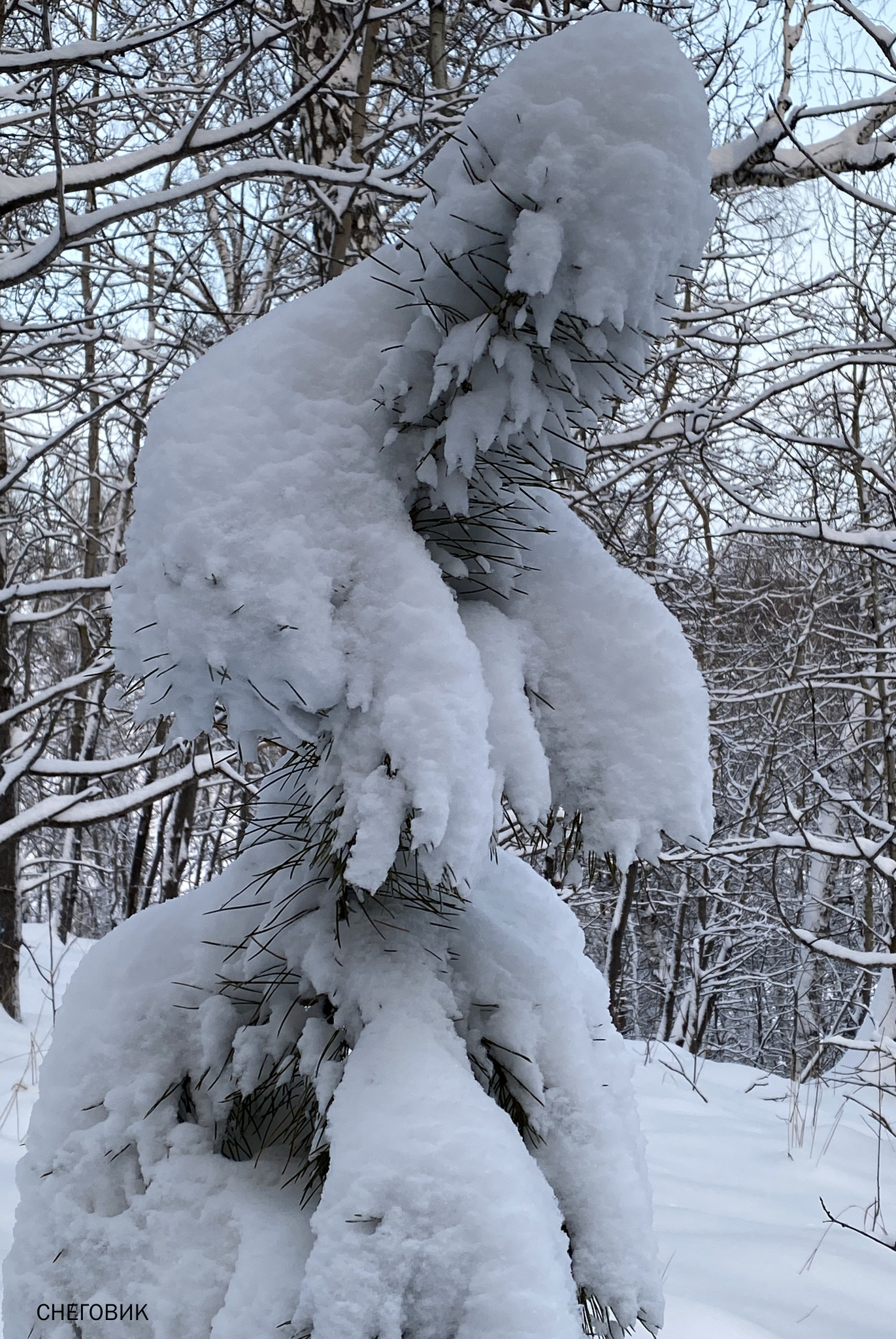 СНЕГОВИК.jpg