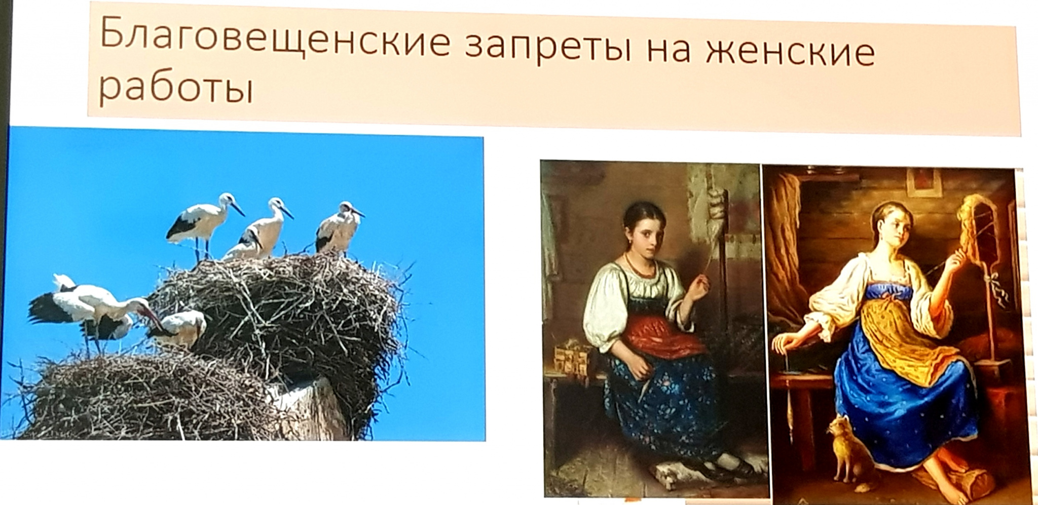 20260307_151113.jpg