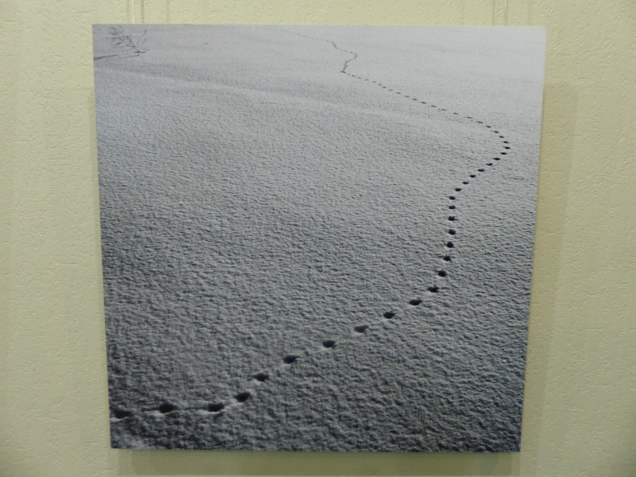 P1130875.JPG