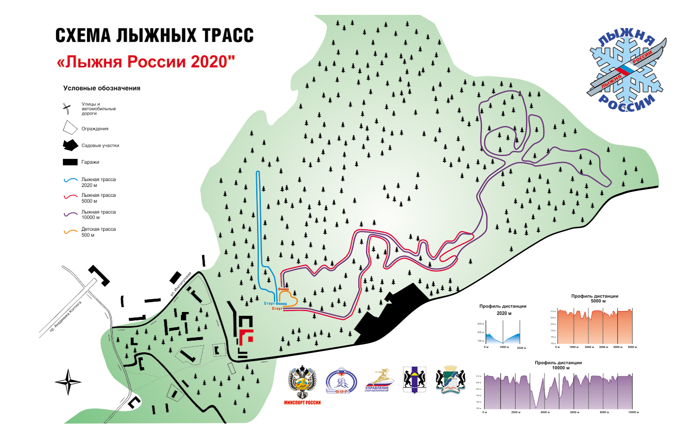 Лыжня России 2020.jpg