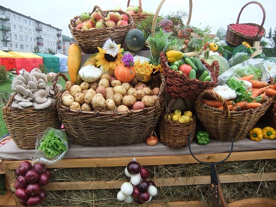 Приглашаем на продовольственную ярмарку!