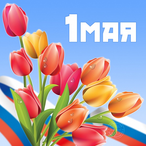 Новосибирцы! Товарищи! 
