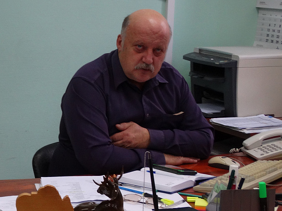 Кто в ответе за наш лес?