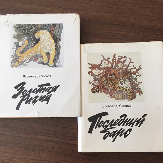 КНИЖНАЯ ПОЛКА. Золотая Ригма Всеволода Сысоева