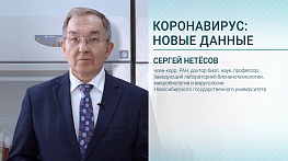 Профессор Сергей Нетесов: «Что касается вакцин от COVID-19, то выбор в 2021 году у нас будет»