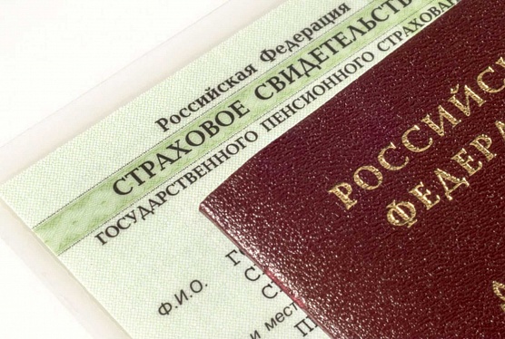 Вместо СНИЛС – уведомление
