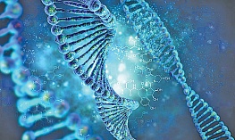 Ученые Института цитологии и генетики разработали технологию «Каранахан» для борьбы с раком