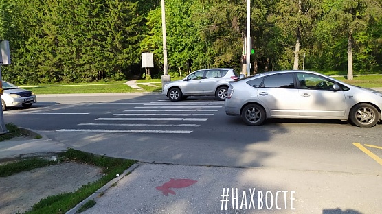 Кто рисовал красных кроликов?