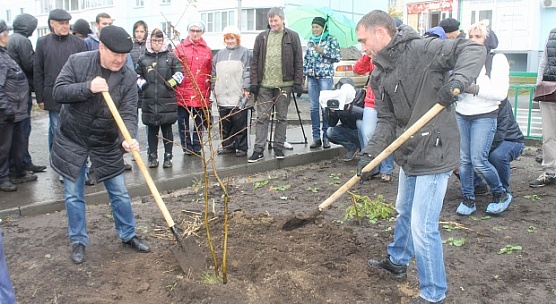 Яблоневая аллея на улице Динамовцев продолжается!