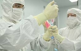 Ученые из Академгородка исследуют способности стволовых клеток восстанавливать кровоток
