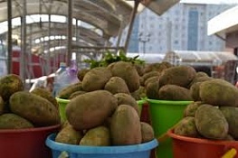 Китайцы собрались выращивать картофель в Новосибирской области