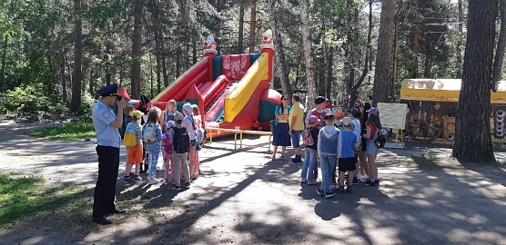Безопасность на дорогах