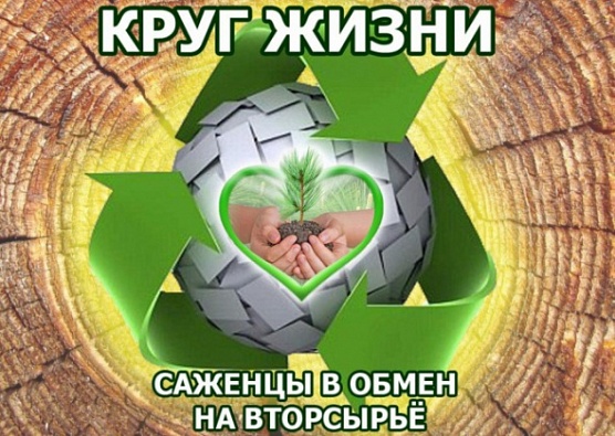 «Круг жизни»