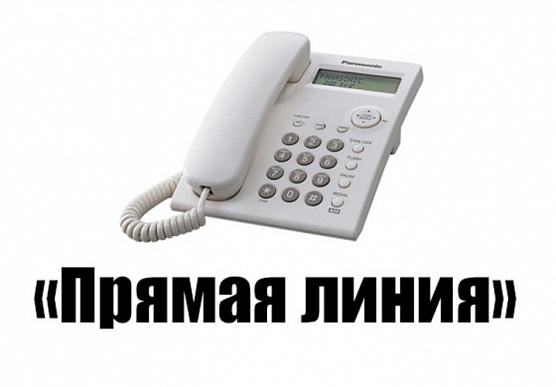 Прямая линия об организации учебного процесса