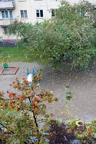 Первый снег!