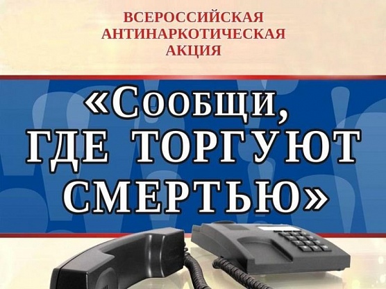 Сообщи, где торгуют смертью!
